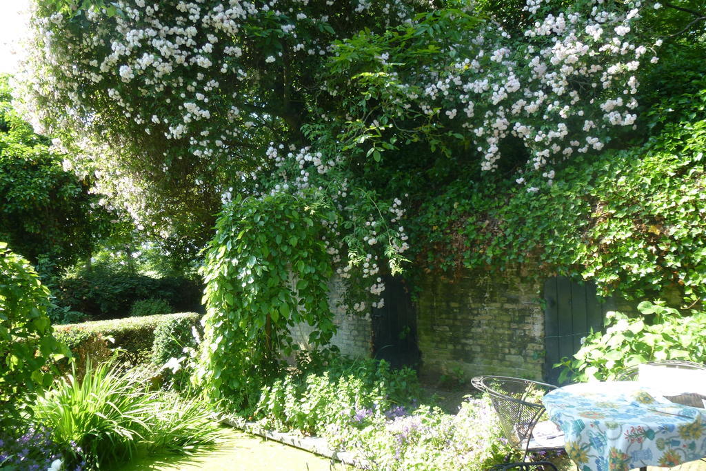 Guesthouse Veerhoeve Sluis Εξωτερικό φωτογραφία
